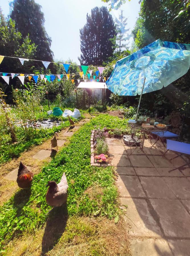 Modernes Zimmer Am Park Mit Garten, Huehner & Enten Мюнхен Екстериор снимка