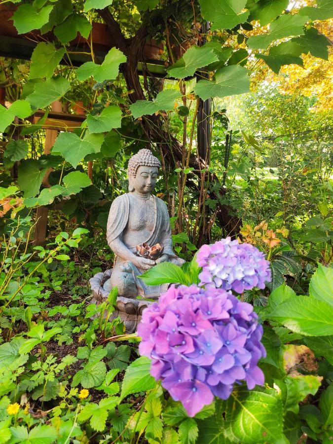 Modernes Zimmer Am Park Mit Garten, Huehner & Enten Мюнхен Екстериор снимка